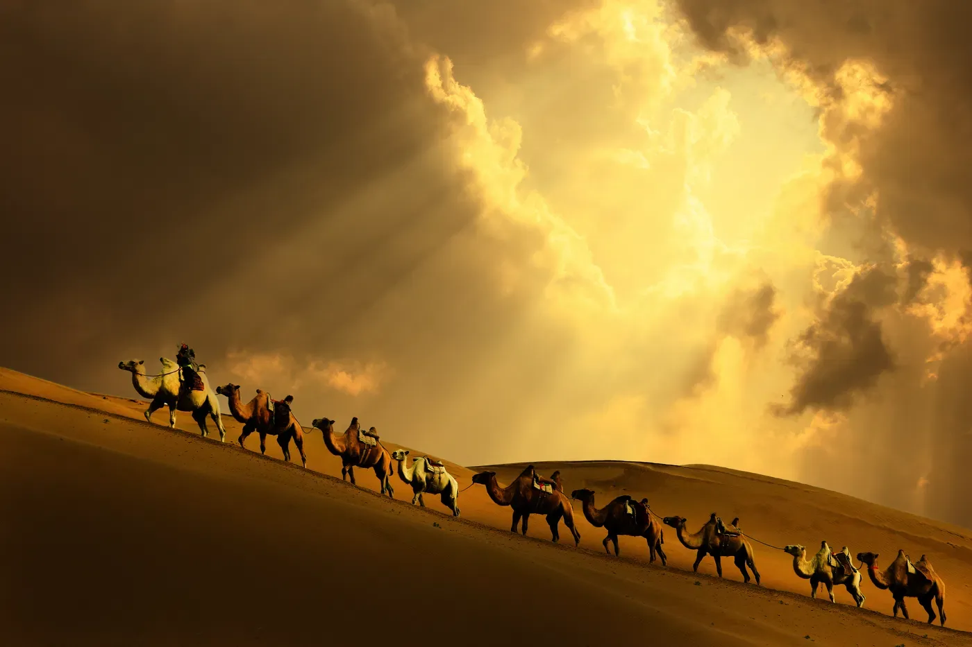 Rajasthan Desert & Heritage Trail