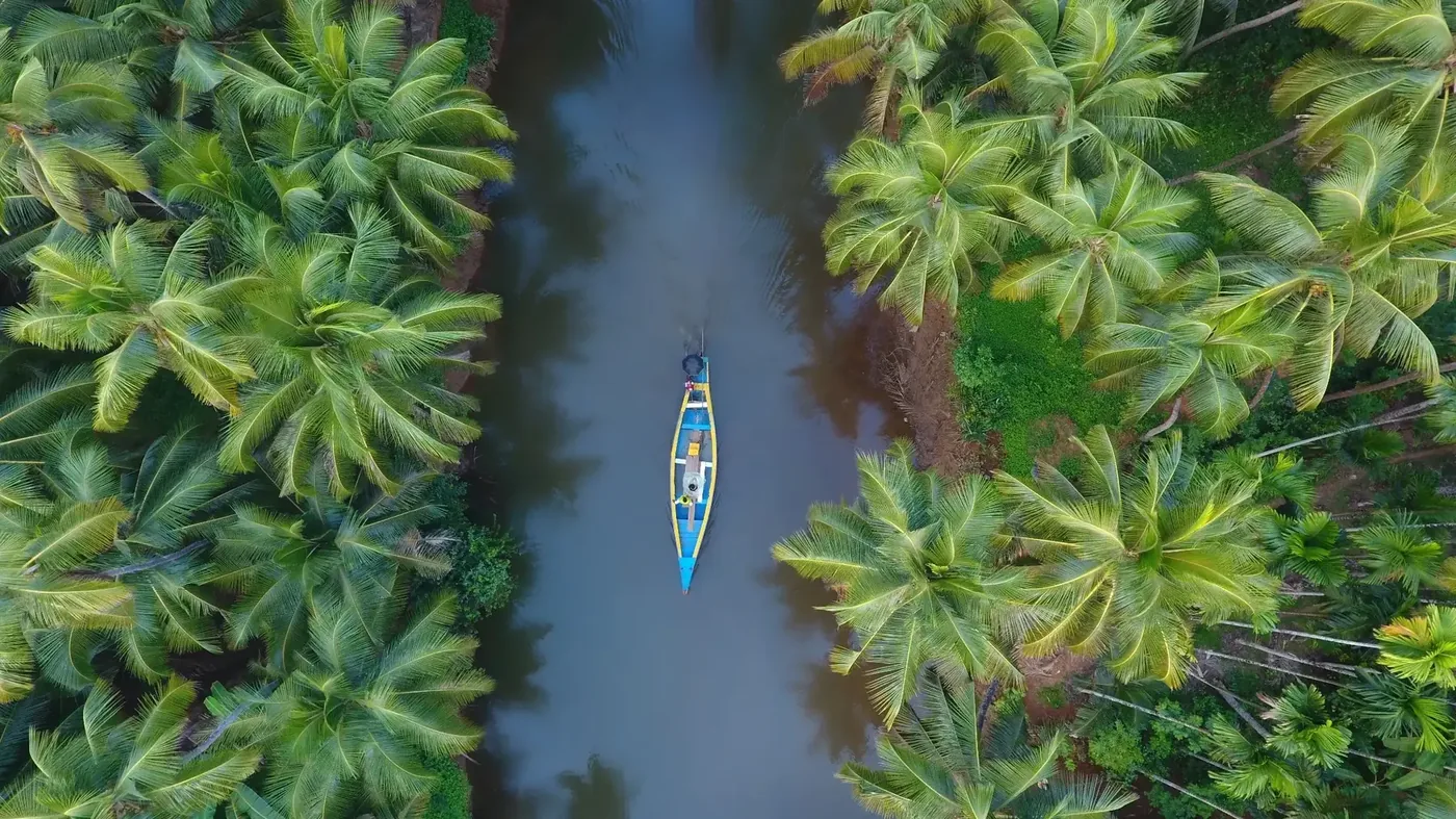 Canoe moving through Kerala backwaters
