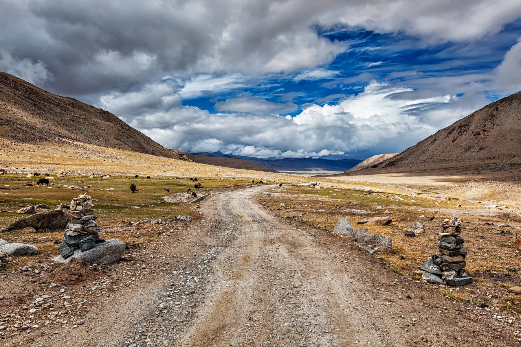 High-altitude road through the Ladakh Himalaya