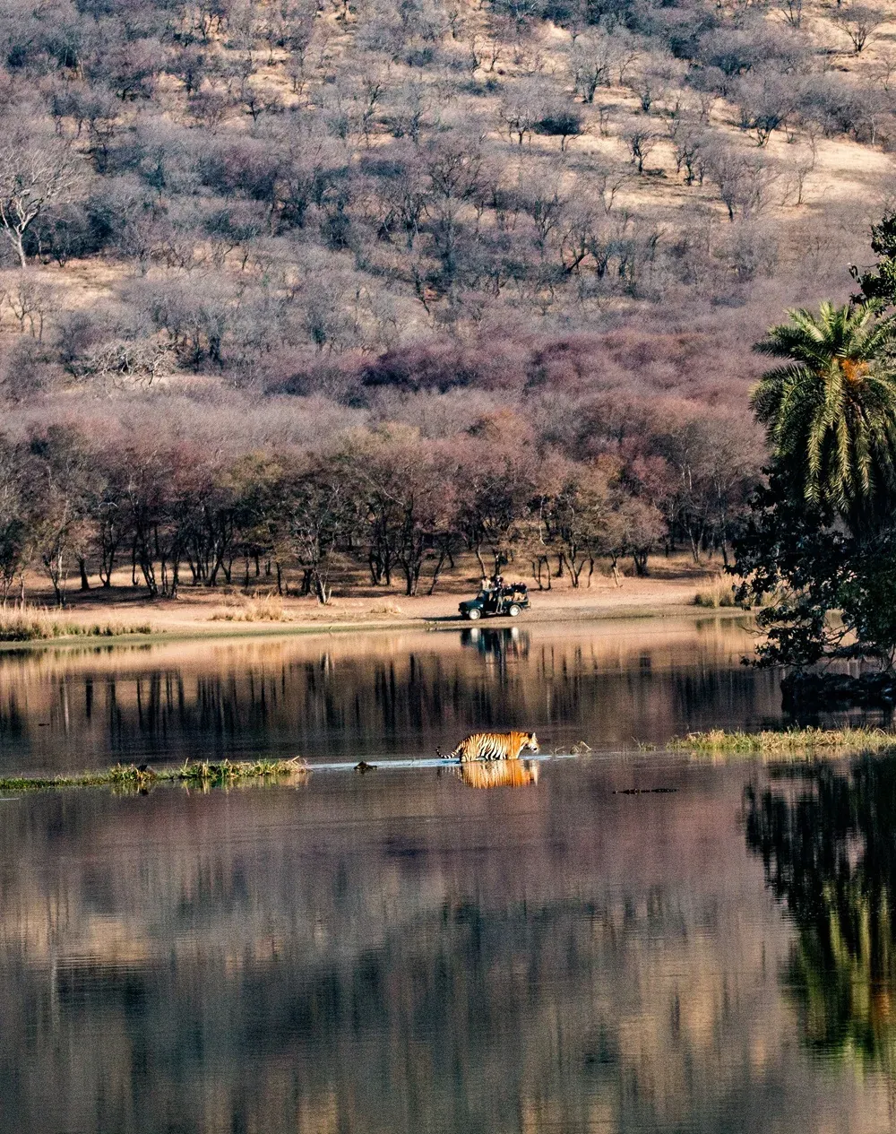 Rajasthan palace hotels