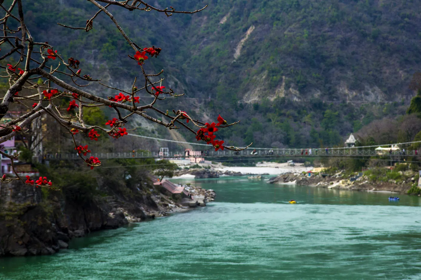 Himalayan India