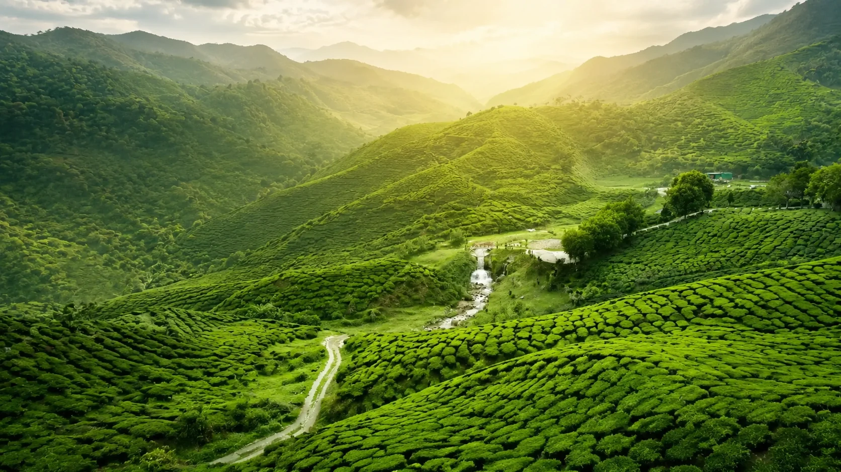 Munnar tea estates across the Kerala hills